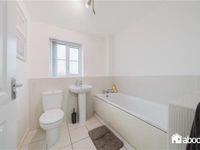 Picture 25